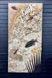 Fossil Fish Wall Mural; Vertical Ash