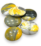 Bumble Bee Jasper Pillows