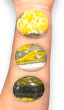 Bumble Bee Jasper Pillows