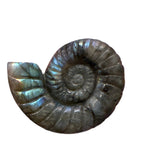 Labradorite Carvings