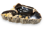 Petrified Wood Bowl with Rough Edge