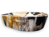 Petrified Wood Bowl
