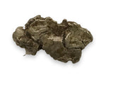 Meteorite, Campo del Cielo