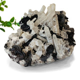 Quartz and Hematite Specimen