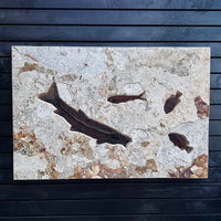 Fossil Fish Wall Mural, Horizontal Ash