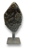 Galaxy Amethyst on Jasper