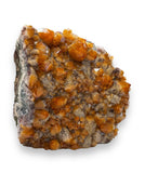 Standing Citrine