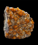 Standing Citrine