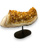 360 Citrine on Stand