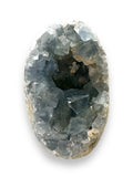 Standing Celestite Geode