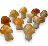 Sardonyx Agate Mushrooms