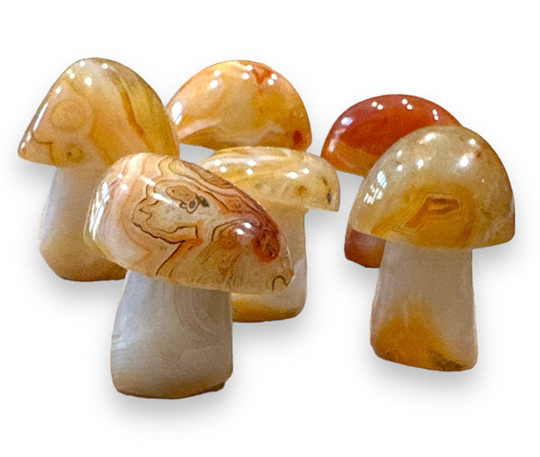 Sardonyx Agate Mushrooms