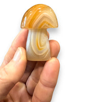 Sardonyx Agate Mushrooms