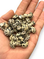 Dalmatian Jasper