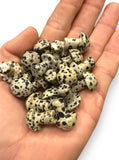 Dalmatian Jasper