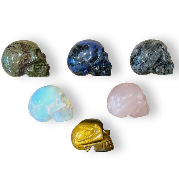 Crystal Skulls - Medium
