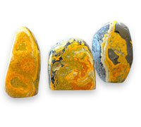 Bumble Bee Jasper Single Standers