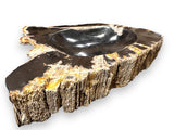 Petrified Wood Bowl with Rough Edge