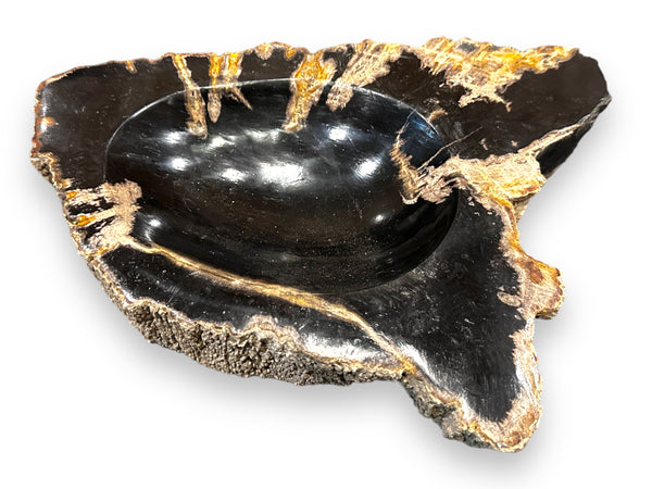 Petrified Wood Bowl with Rough Edge