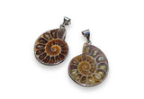 Ammonite Pendant