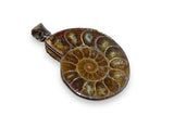 Ammonite Pendant