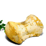 therapod vertebra