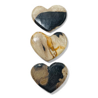 Petrified Wood Hearts – Bits of Nature Decor