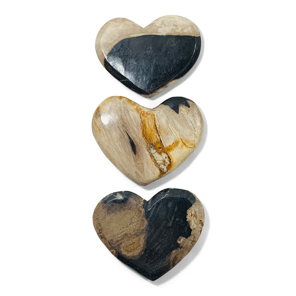 Petrified Wood Heart