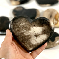 Petrified Wood Heart