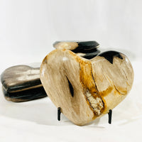 Petrified Wood Heart