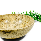 Fossil Rich Limestone Bowl