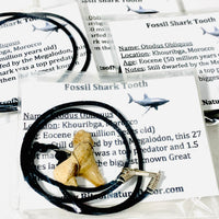 Fossil Shark Tooth Necklace