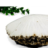 Mounted Scolecite