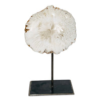 Mounted Scolecite