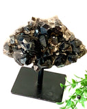 Smoky Quartz Cluster on Stand
