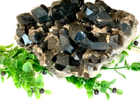 Smoky Quartz Cluster on Stand