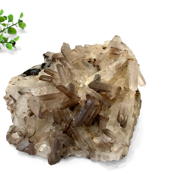 Delicate Smoky Quartz Cluster