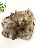 Delicate Smoky Quartz Cluster