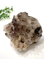 Delicate Smoky Quartz Cluster