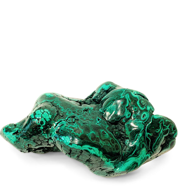 Large Polished Malachite