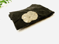 Pyrite Sun in Shale Matrix- Gemini!