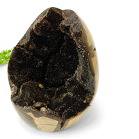Dragon's Egg Septarian