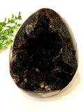 Dragon's Egg Septarian