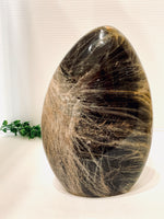 Zebra Jasper