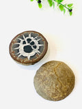 Septarian Nodule