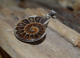 Ammonite Pendant