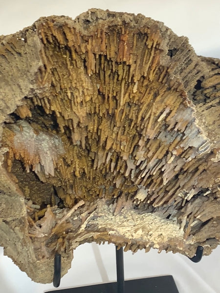 Mounted Agatized Coral